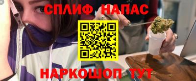 гашик Гусев