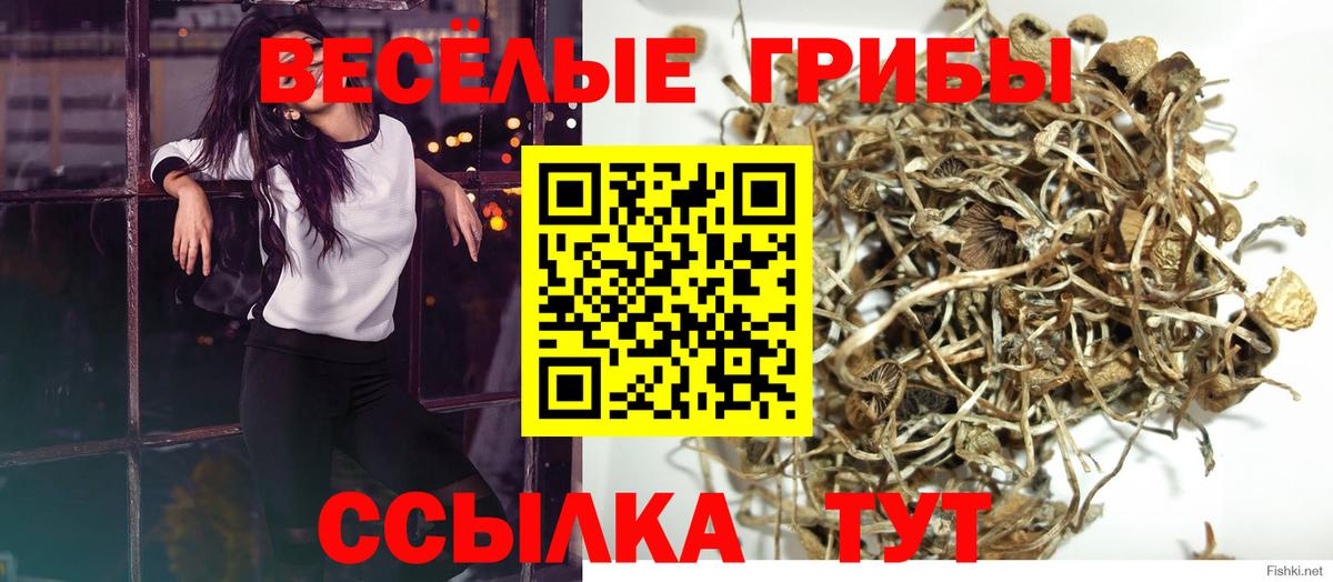 Псилоцибиновые грибы Magic Shrooms Люберцы